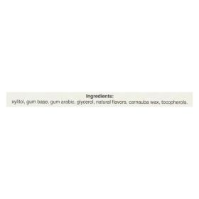 Pur Gum - Cinnamon - Aspartame Free - 9 Pieces - 12.6 G - Case Of 12
